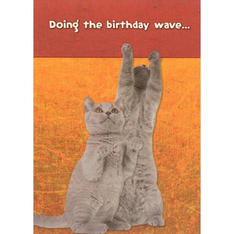 2 Gray Kittens Doing the Wave Cute Cat Birthday Card