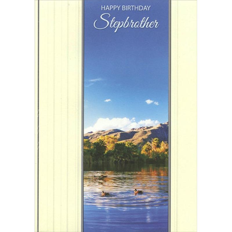 3 Ducks in Pond Near Mountains Birthday Card for Step-Brother