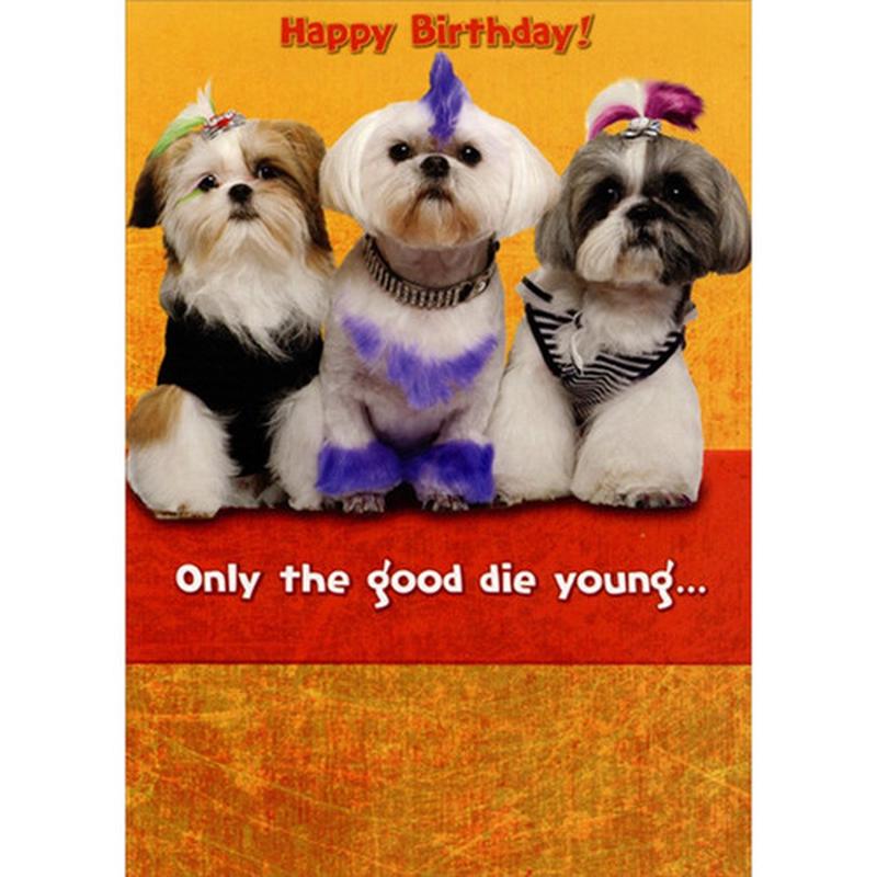 3 Yorkshire Terriers : Only The Good Die Young Funny : Humorous Risque Feminine Birthday Card for Her : Woman : Women