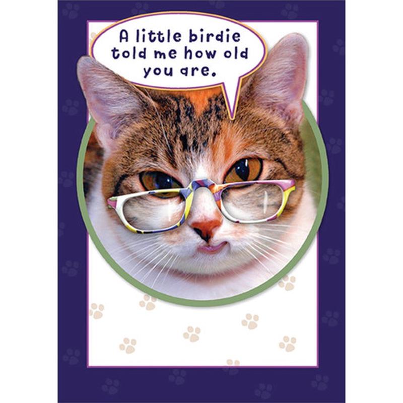 A Little Birdie Told Me : Cat with Colorful Glasses Funny / Humorous Birthday Card