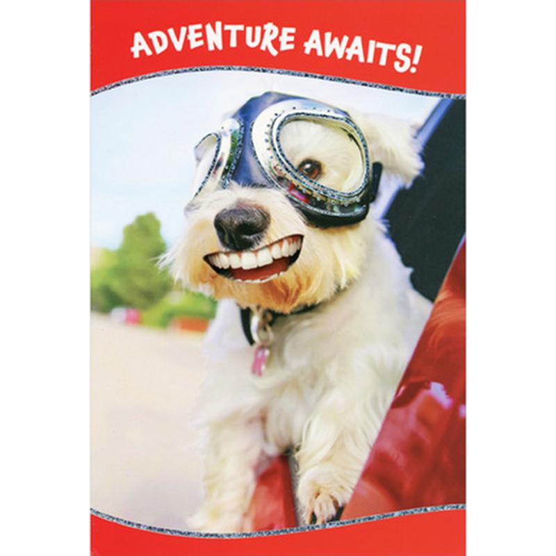 Adventure Awaits: White Dog in Aviator Goggles Sticking Head Out Car Window Funny / Humorous Birthday Card