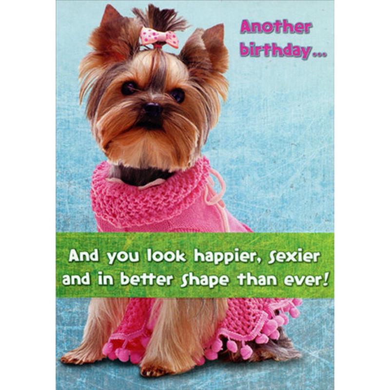 Yorkshire Terrier : Happier, Sexier, Better Shape Funny : Humorous Dog Risque Feminie Birthday Card for Her : Woman : Women