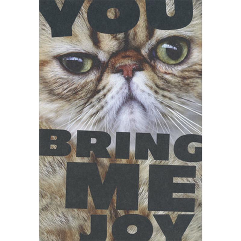 You Bring Me Joy Grumpy Cat Closeup Photo Funny / Humorous Birthday Card