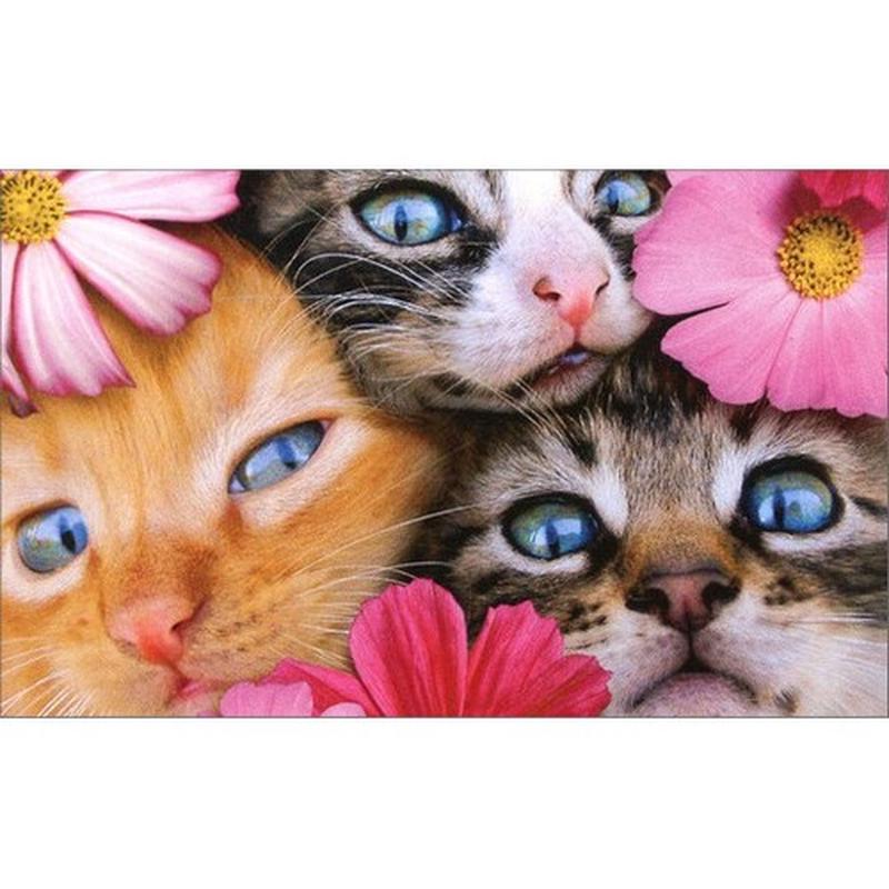3 Kittens Mini Blank Gift Enclosure Card
