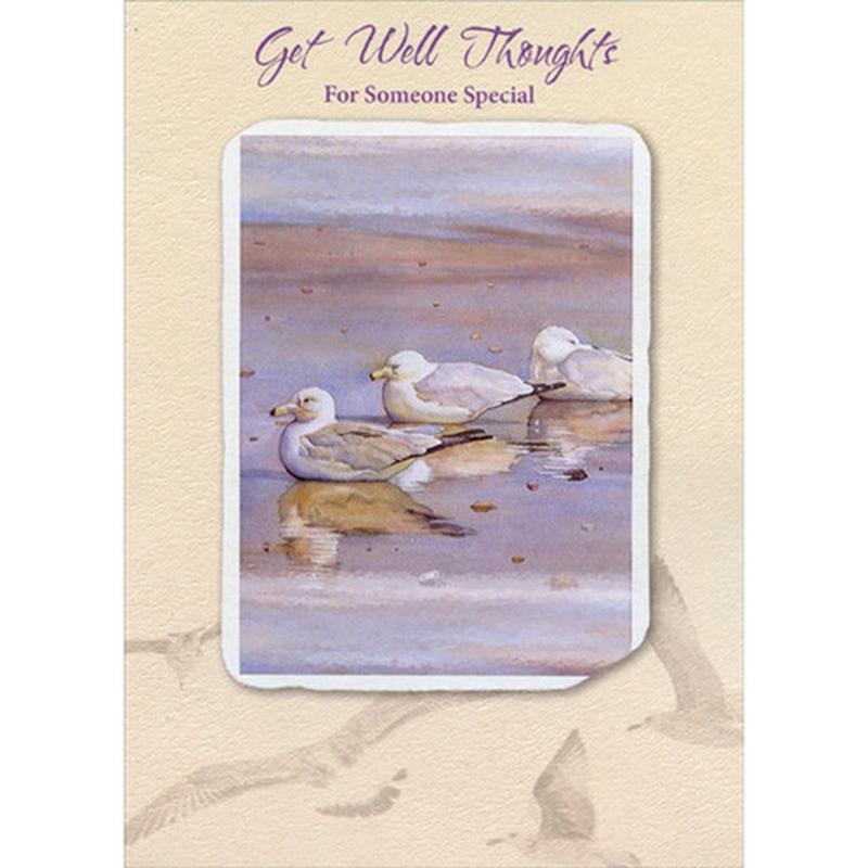 3 Seagulls Resting in Water Get Well Card
