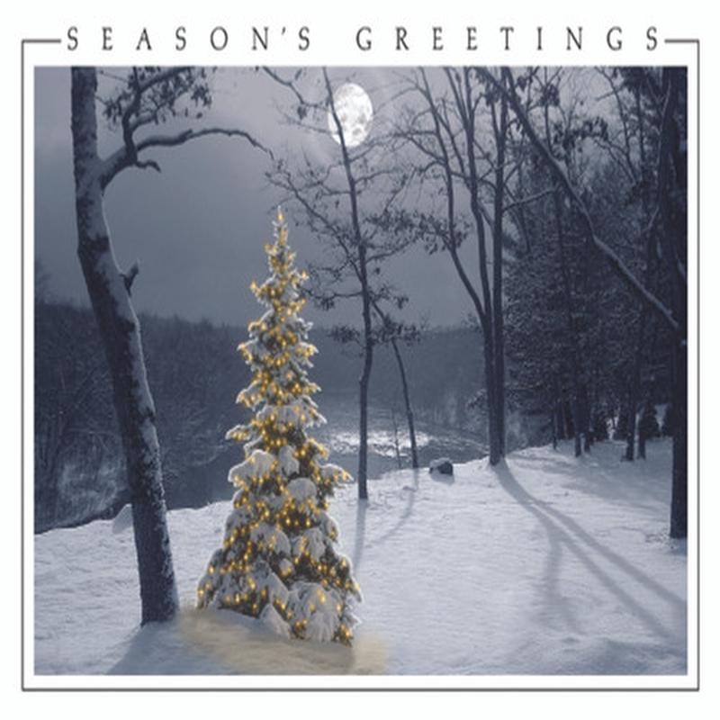 All is Bright: Decorated Evergreen Along Snowy Ridge Under  Moon Box of 25 Custom Verse Christmas Cards
