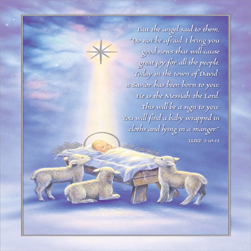 A Savior Has Been Born Scripture Verse: Infant Jesus and Lambs Box of 15 Religious Christmas Cards