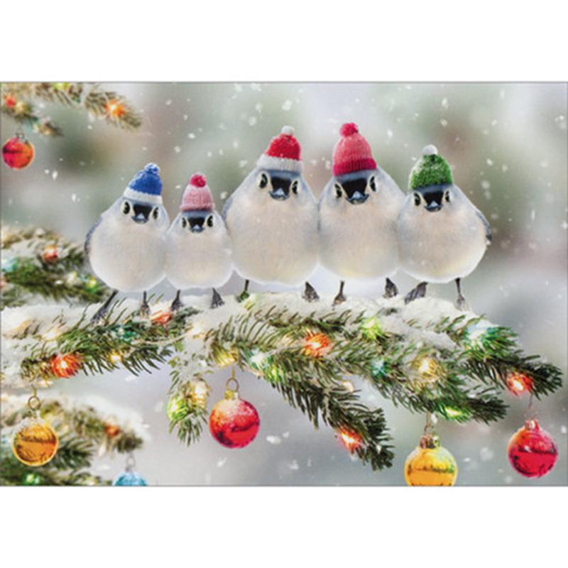 Bird Family Wearing Knit Hats on Tree Branch Box of 10 Cute Christmas Cards