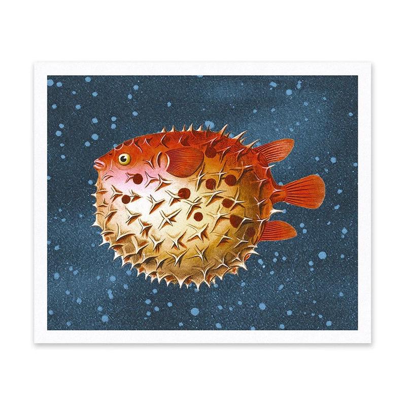 Puffer Fish Art Print - Default Title